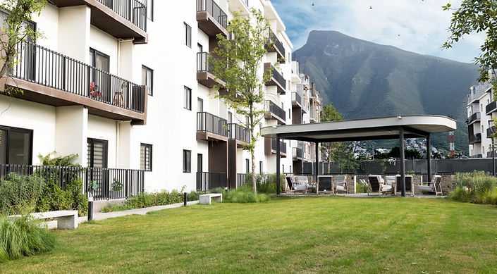 2 area verde olivas.jpg