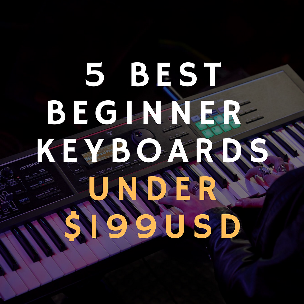 5 Best Beginner Keyboards Under 199 USD