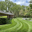 Beautiful Grass Patterns