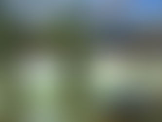 Luxury Senior Living at Sea Breeze Village Beach Resort