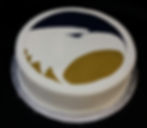 Georgia Southern Logo