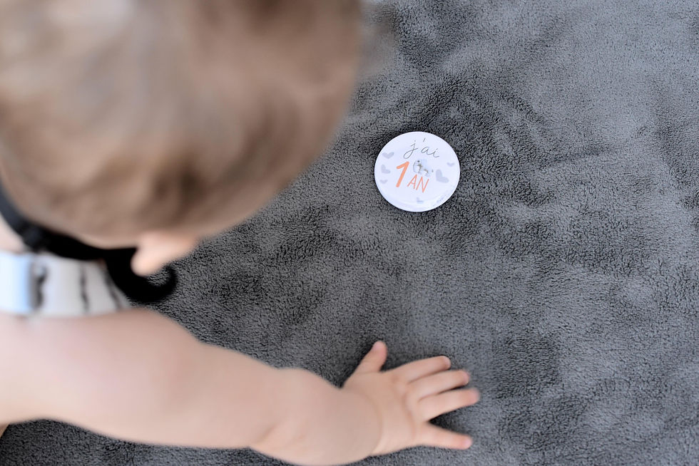 Miniature : Kit 1ere année "Éléphant"