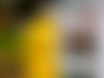 Private Investigator Training