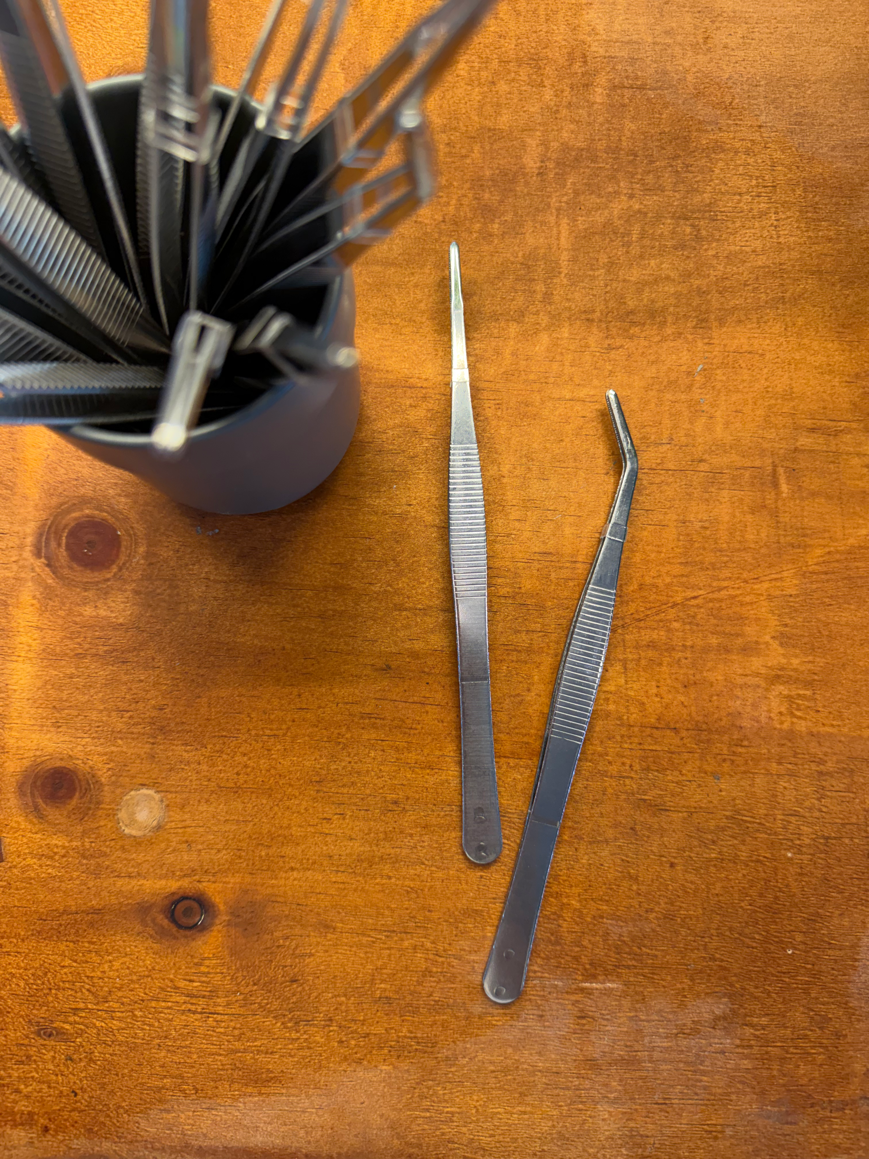 Terrarium Tweezers