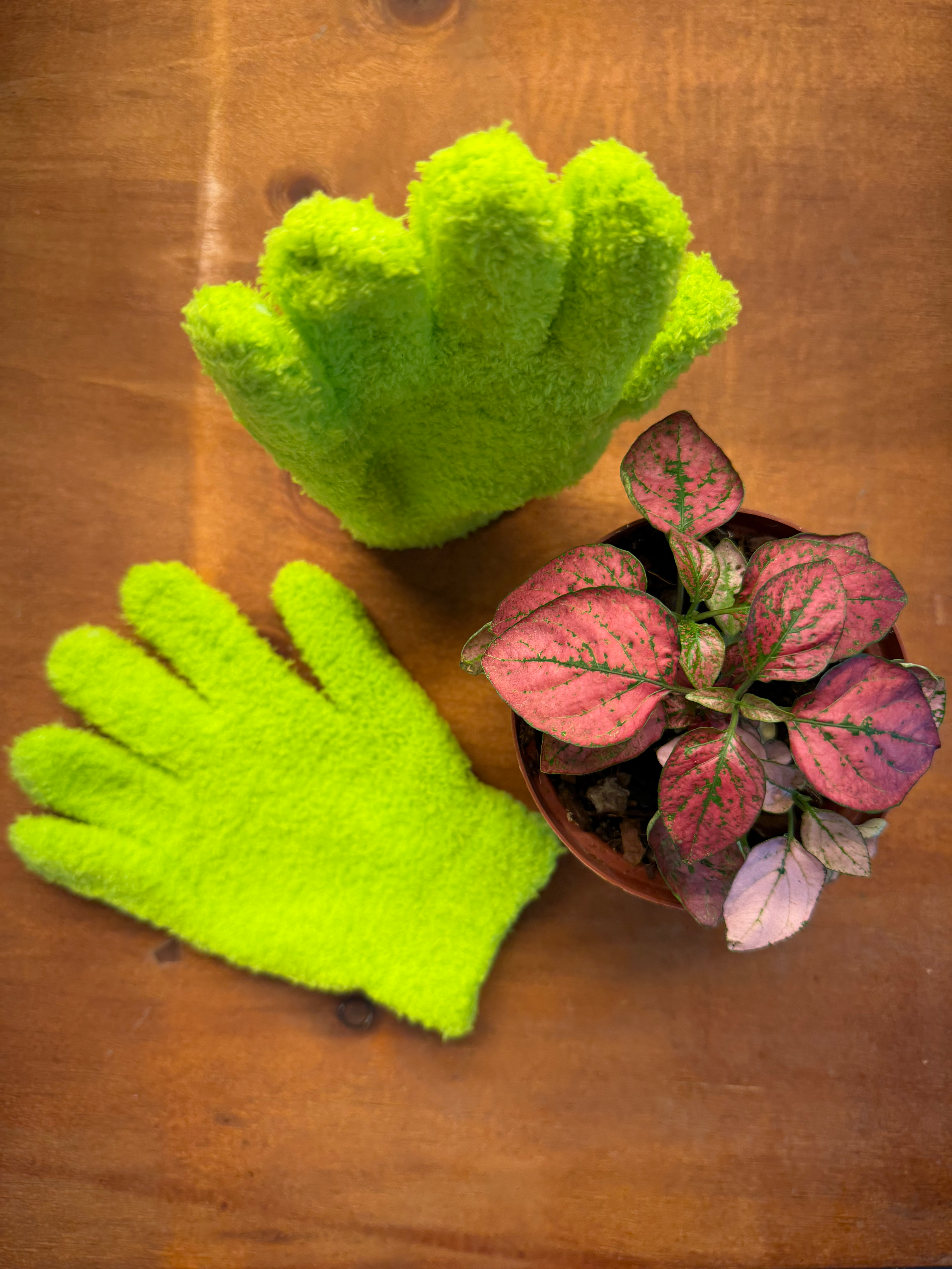 Micro Fibre Leaf Cleaning Gloves