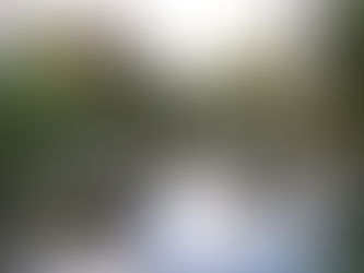 Jardines de Monet en Giverny