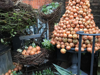 Apuesta por la belleza