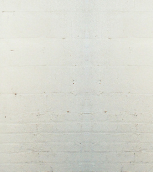 Justina Ercole Site Banner.png