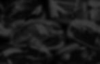 background.jpg
