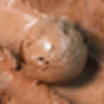 DARK CHOCOLATE, OLIVE OIL & SEA SALT
