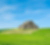 IMG_2716_edited.jpg