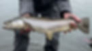 Big Fish_edited.jpg