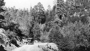 Hillside Cabin Prescott, Arizona