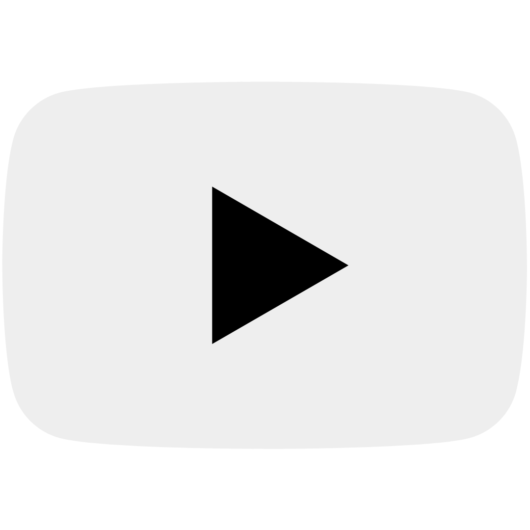 Beestera YouTube Light.png