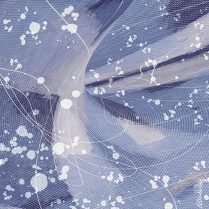 Tangled Web