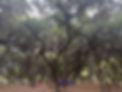 IMG_0749.jpeg