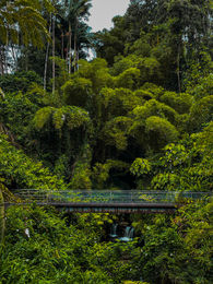 bridge