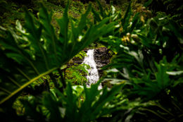 waterfall framing