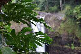 Rainbow Falls, Kona