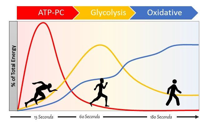 Fitness Testing Part 3 VO2 Max Test fitness-testing-part-3-vo2-max-test