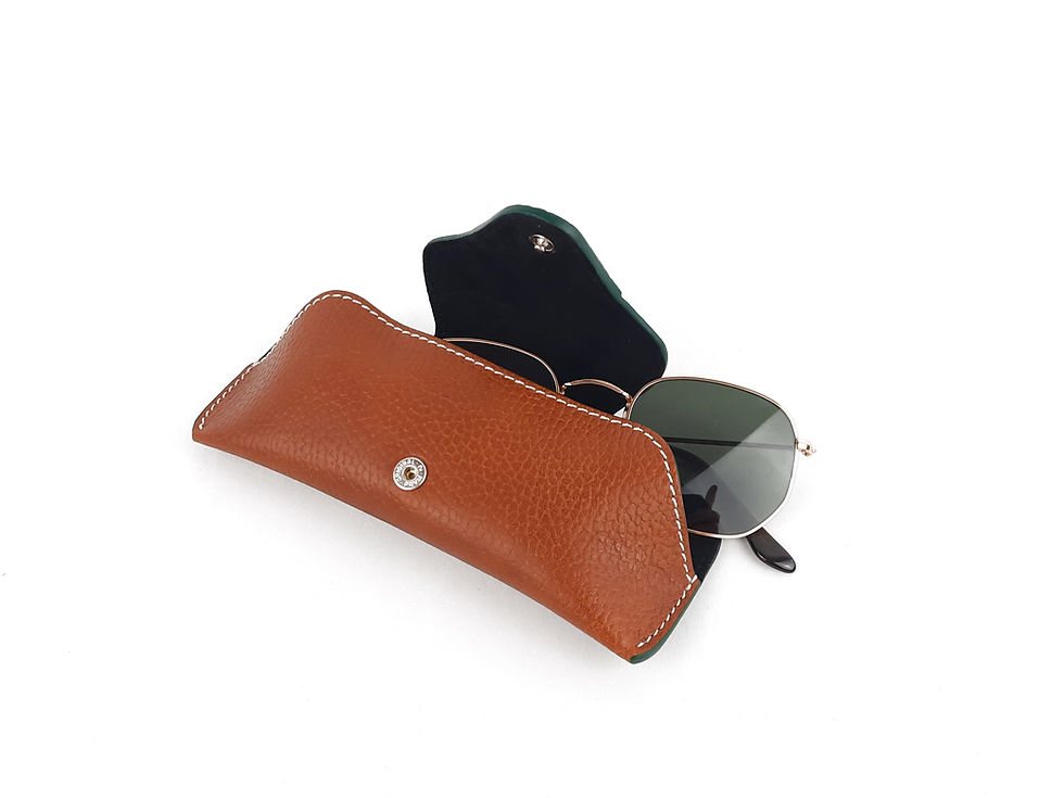 Thumbnail: Beak Glasses Case