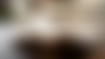 Rise Internship program of Boston University