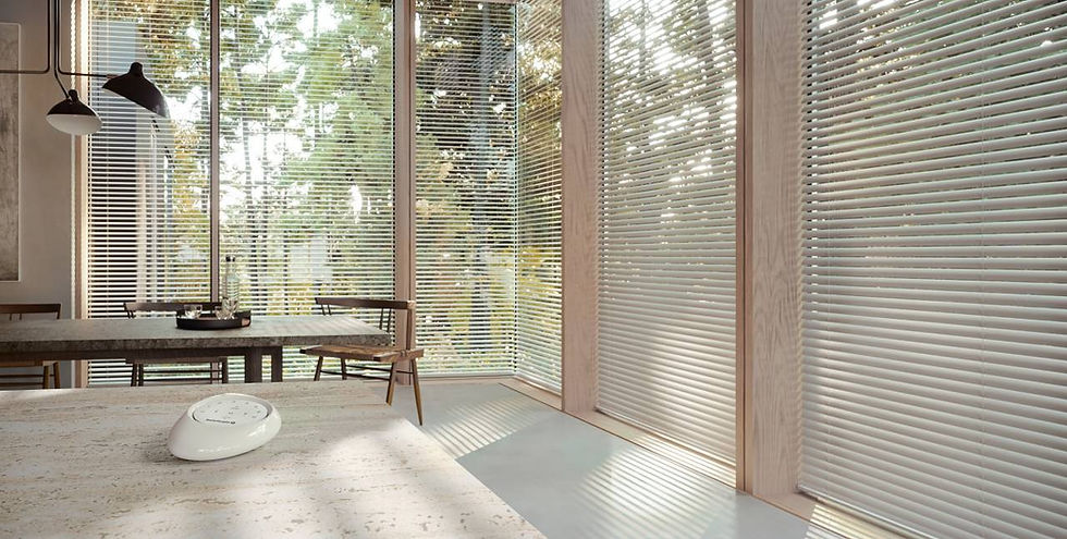 interior design comfort with hunter douglas window coverings.jpg