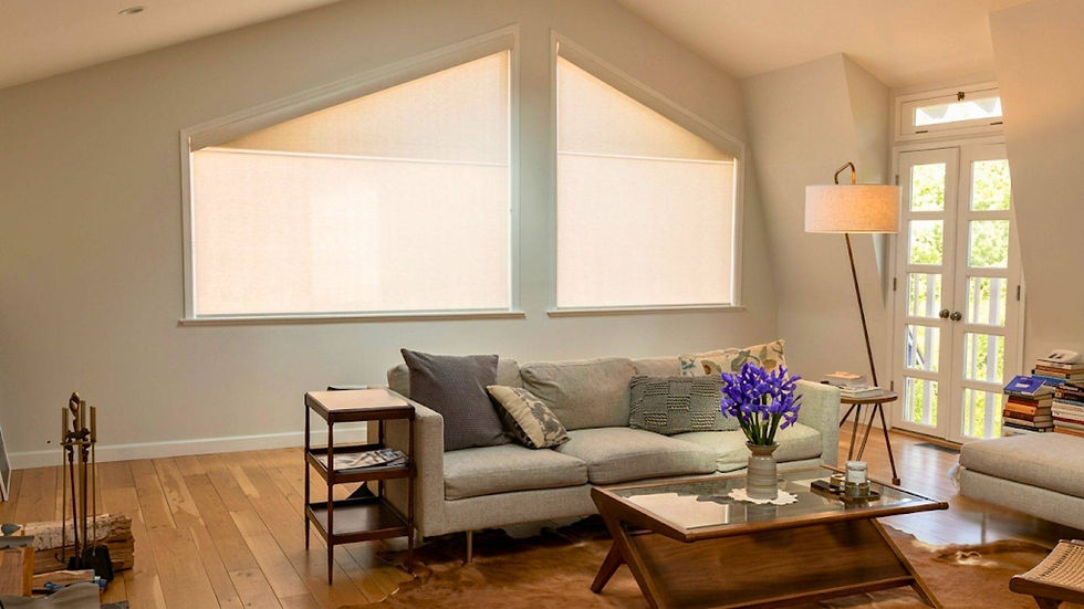uncovered-architectural-trapezoid-windows-living-room-denver-co.jpg