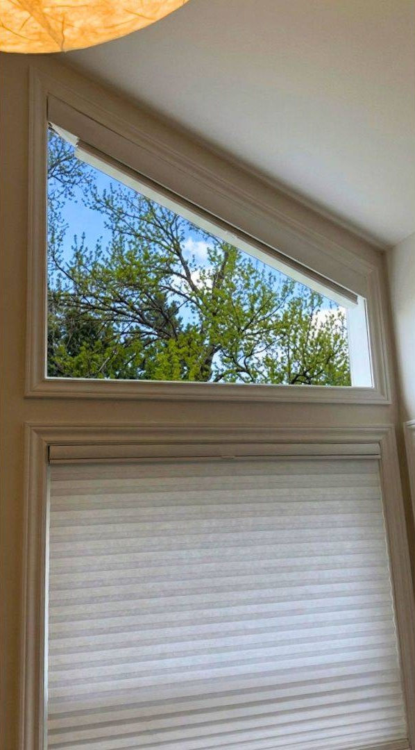 Close up of a large uncovered upper trapezoid window framing a lush green tree under a blue sky in Denver CO — BCC of Denver Colorado.; Quality voice-controlled blind operation for unique windows is available from Blind Corners & Curves serving Aurora, Durango, and Winter Park.;