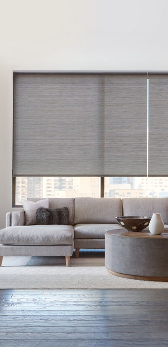 Leading remote control premium window coverings like these roller shades offer the finest aesthetic for a Greenwood Village CO great room by BCC.;