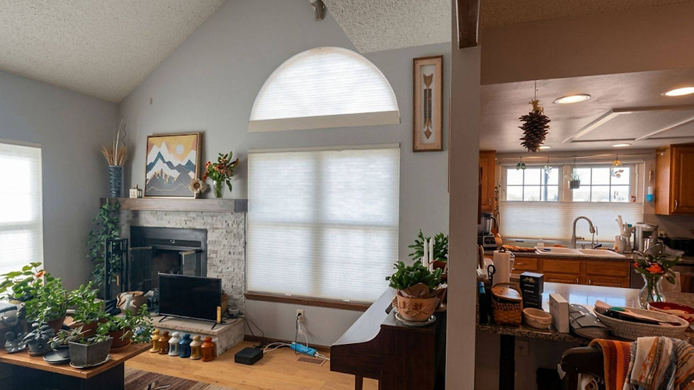 shading-eyebrow-window-cellular-coverings-denver-co-blind-corners-and-curves.jpg