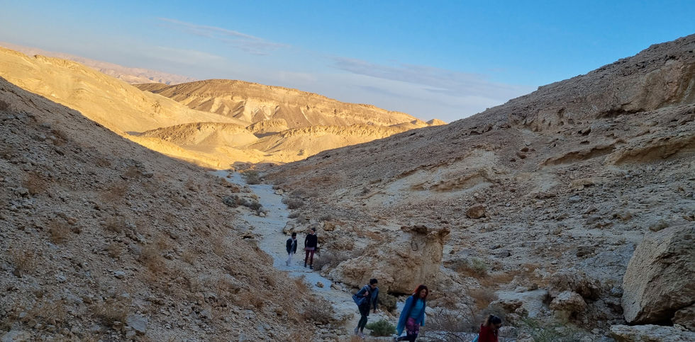 20211120_071107 (1).jpg