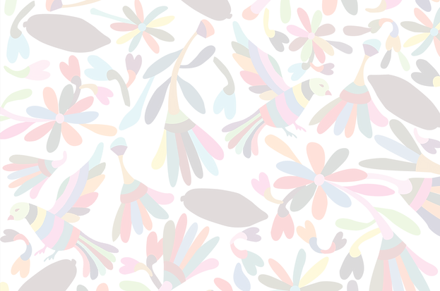 FONDO-PALOMA_Mesa de trabajo 1.png
