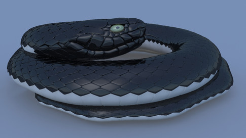 snake.jpeg