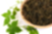gynostema_edited.png