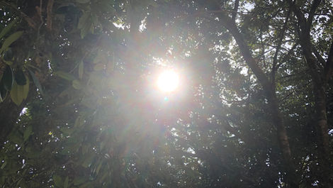 ハイオフはじめました！その理由とは！？地球温暖化脱却へ向けて…