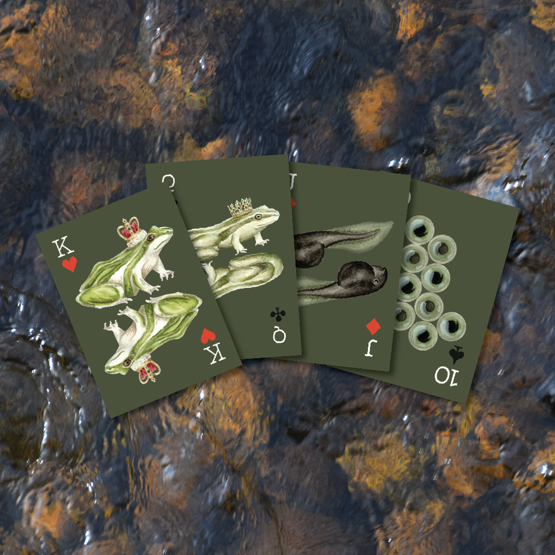 Frog Metamorphosis Playing Cards