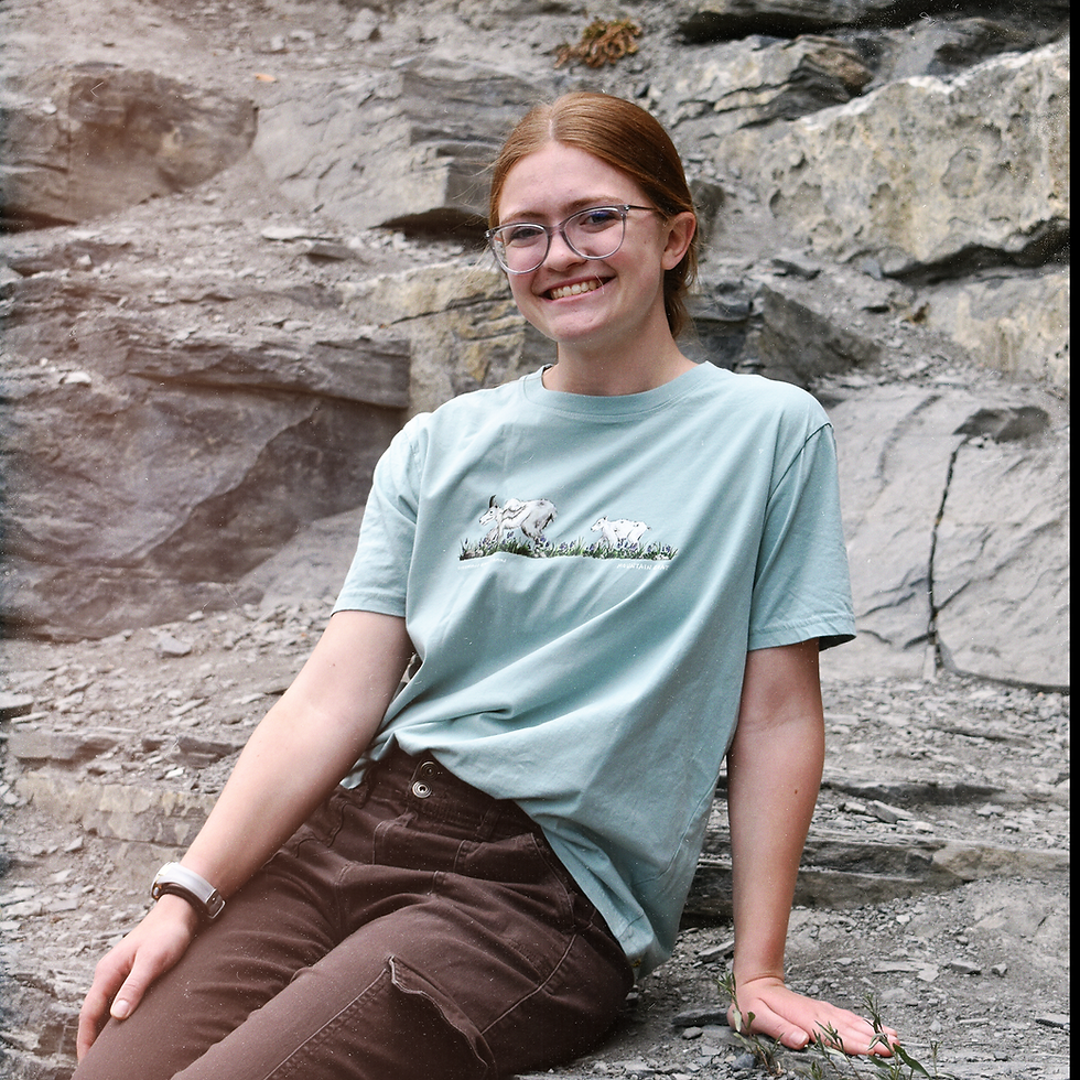 Thumbnail: Mountain Goats Shirt