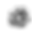 Black And White Rose