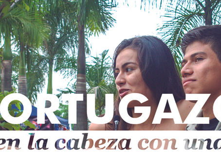 Tortugazo ¿Golpe en la cabeza con una tortuga?