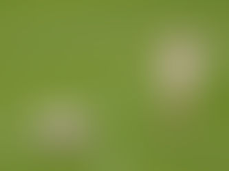 A Milli Futbol Takımımız Dünya Kupası’na Veda Etti
