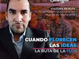 Cuando florecen las ideas