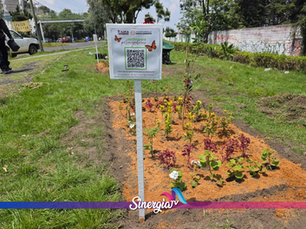 Toluca impulsa una red de jardines polinizadores para fortalecer la biodiversidad urbana