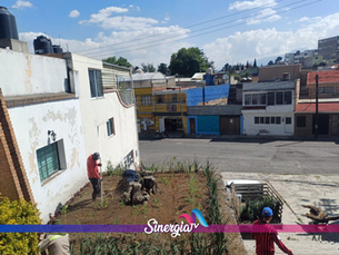 El gobierno municipal proyecta alcanzar 100 espacios verdes de este tipo durante 2026
