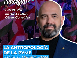 La antropología de la pyme