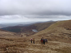 DSC03543.JPG
