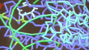 SCIENAD: Revolutionäre Methoden der Entscheidungsfindung