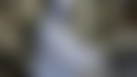 J-5: Ein Standard-Trick von Journalisten: Eine (arrogante) Meinungskomponente in jeder PaLü schützt