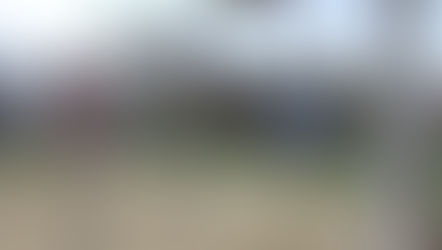 Die Psychologie des Pendels