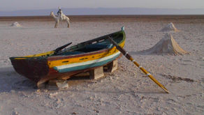 Die bewusst verhinderte Lösung des Palästinenser-Problems